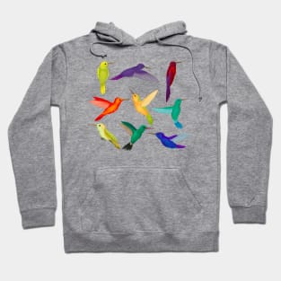 hummingbirds colorful collection Hoodie